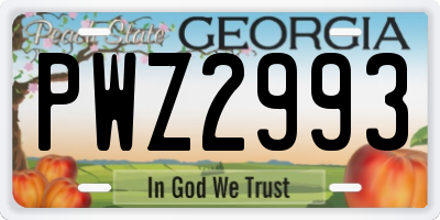 GA license plate PWZ2993