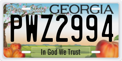 GA license plate PWZ2994