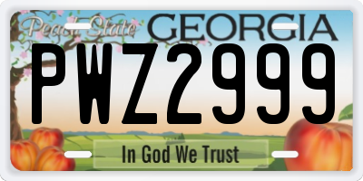 GA license plate PWZ2999