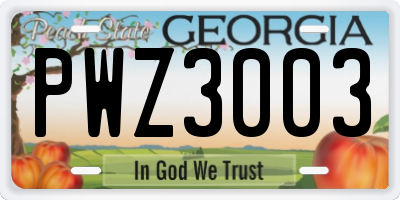 GA license plate PWZ3003