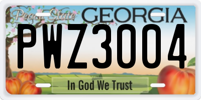 GA license plate PWZ3004