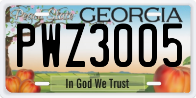 GA license plate PWZ3005