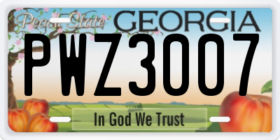 GA license plate PWZ3007
