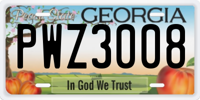 GA license plate PWZ3008