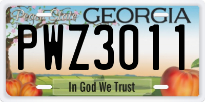 GA license plate PWZ3011