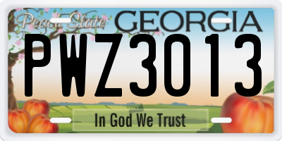 GA license plate PWZ3013