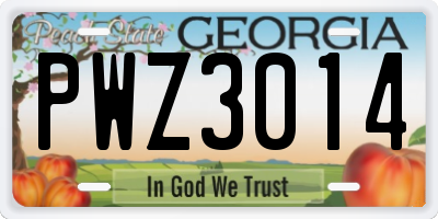 GA license plate PWZ3014