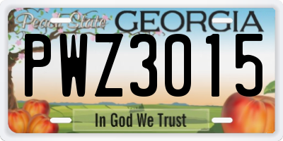 GA license plate PWZ3015