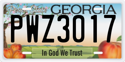 GA license plate PWZ3017