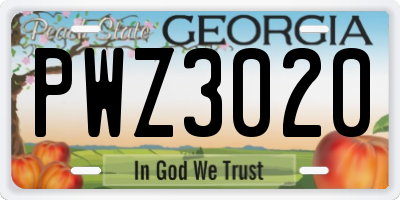 GA license plate PWZ3020