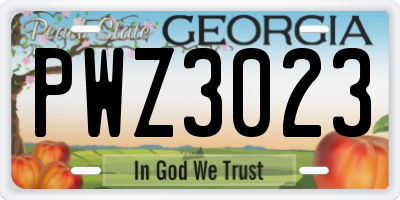 GA license plate PWZ3023