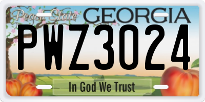 GA license plate PWZ3024