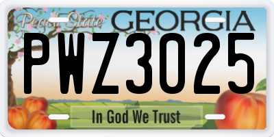 GA license plate PWZ3025