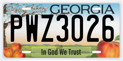 GA license plate PWZ3026
