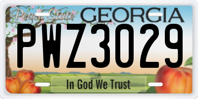 GA license plate PWZ3029