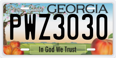 GA license plate PWZ3030