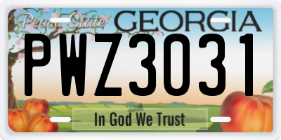 GA license plate PWZ3031