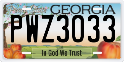 GA license plate PWZ3033