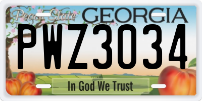 GA license plate PWZ3034