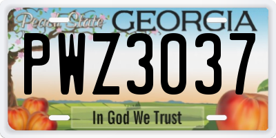GA license plate PWZ3037