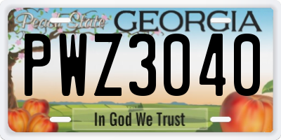 GA license plate PWZ3040