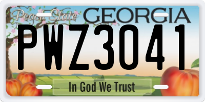 GA license plate PWZ3041