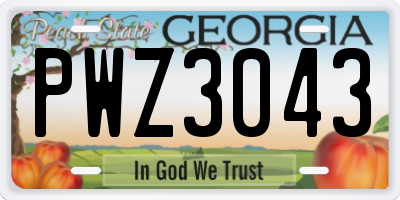 GA license plate PWZ3043