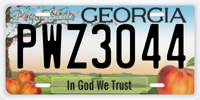 GA license plate PWZ3044