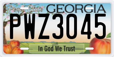 GA license plate PWZ3045