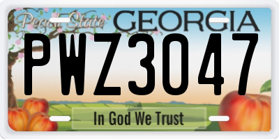 GA license plate PWZ3047