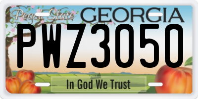 GA license plate PWZ3050