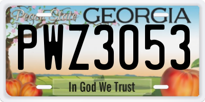 GA license plate PWZ3053