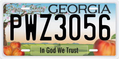 GA license plate PWZ3056