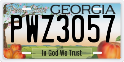 GA license plate PWZ3057