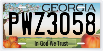GA license plate PWZ3058