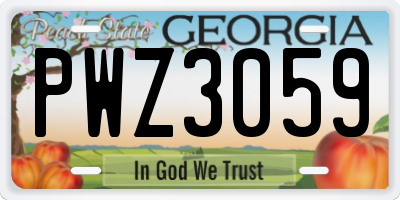 GA license plate PWZ3059