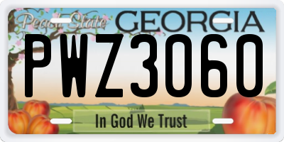 GA license plate PWZ3060