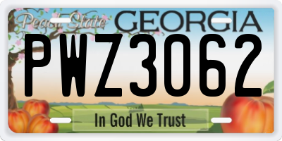 GA license plate PWZ3062