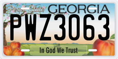 GA license plate PWZ3063