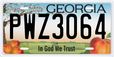 GA license plate PWZ3064
