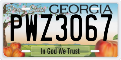 GA license plate PWZ3067