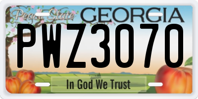 GA license plate PWZ3070