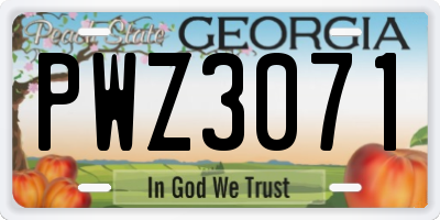 GA license plate PWZ3071