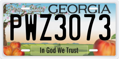 GA license plate PWZ3073