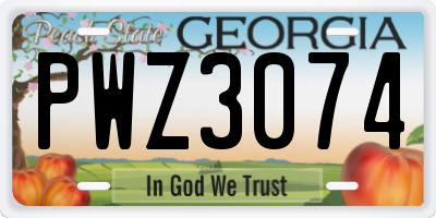 GA license plate PWZ3074