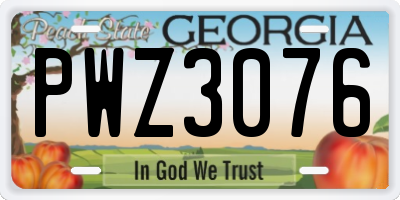GA license plate PWZ3076