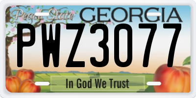 GA license plate PWZ3077