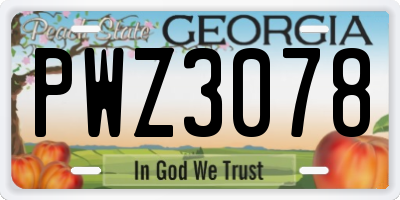 GA license plate PWZ3078