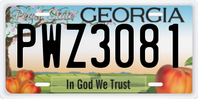 GA license plate PWZ3081