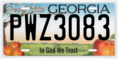 GA license plate PWZ3083